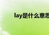 lay是什么意思（hurt是什么意思）