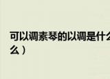 可以调素琴的以调是什么意思（可以调素琴的以调意思是什么）