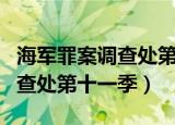 海军罪案调查处第十一季电视剧（海军罪案调查处第十一季）