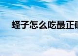 蛏子怎么吃最正确（怎么吃蛏子最正确）