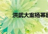 洪武大案杨幂剧照（洪武大案杨幂）