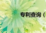 专利查询（佰腾专利检索网）