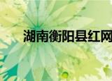 湖南衡阳县红网（湖南红网衡阳论坛）