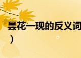 昙花一现的反义词（昙花一现的反义词是什么）