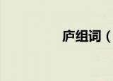 庐组词（分别有哪些呢）