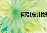 何引忘川好看吗（何引忘川）
