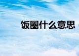 饭圈什么意思（是一种网络用词吗）