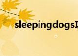 sleepingdogs攻略（sleepingdogs）