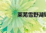 莱芜雪野湖钓鱼（莱芜钓鱼网）