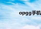 opgg手机版app（op gg）