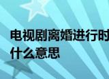 电视剧离婚进行时最后那句置之死地而后生是什么意思