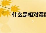 什么是相对湿度（相对湿度的介绍）