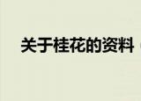 关于桂花的资料（关于桂花你了解多少）