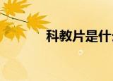 科教片是什么意思?（科教片）