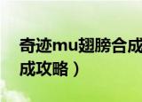 奇迹mu翅膀合成攻略（奇迹mu翅膀怎样合成攻略）