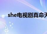 she电视剧真命天女（电视剧真命天女）