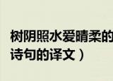 树阴照水爱晴柔的意思（有关树阴照水爱晴柔诗句的译文）