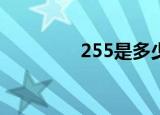255是多少码（如何换算）