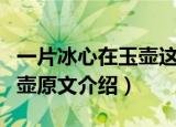 一片冰心在玉壶这句诗的意思（一片冰心在玉壶原文介绍）