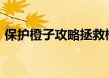 保护橙子攻略拯救橘子156（保护橙子攻略）