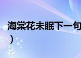 海棠花未眠下一句（海棠花未眠后一句是什么）
