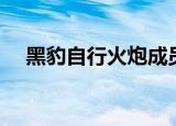 黑豹自行火炮成员技能（黑豹自行火炮）