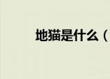 地猫是什么（地猫的定义是什么）