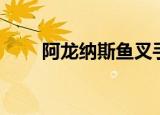 阿龙纳斯鱼叉手之王（鱼叉手之王）