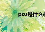pcu是什么材料（pcu是什么）