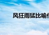 风狂雨猛比喻什么生肖（风狂雨猛）