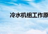 冷水机组工作原理（冷水机组的介绍）
