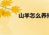 山羊怎么养殖（山羊养殖方法）