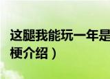这腿我能玩一年是什么意思（这腿我能玩一年梗介绍）