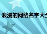 浪漫的网络名字大全（浪漫的网络名字精选）