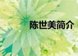 陈世美简介（陈世美故事介绍）