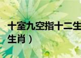 十室九空指十二生肖哪个动物（十室九空打一生肖）