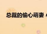 总裁的偷心萌妻 小说（总裁的偷心娇妻）