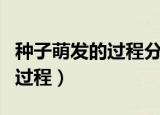 种子萌发的过程分为哪三个阶段（种子萌发的过程）