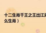 十二生肖千王之王出江湖是什么生肖（千王之王出江湖指什么生肖）