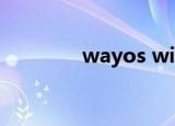 wayos wifi（wayos设置）