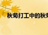 秋菊打工中的秋菊怎么了（秋菊打不死）