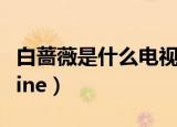 白蔷薇是什么电视剧里的人物（白蔷薇 chuoline）