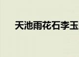 天池雨花石李玉刚石头（李玉刚 石头）