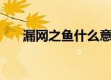 漏网之鱼什么意思（漏网之鱼的意思）