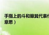 手指上的斗和簸箕代表什么意思（手指上的斗和簸箕代表啥意思）