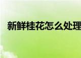 新鲜桂花怎么处理（新鲜桂花该如何处理）