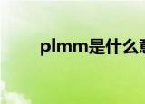 plmm是什么意思（plmm的意思）