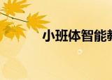 小班体智能教案（立体早教法）
