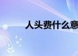 人头费什么意思（什么是人头费）