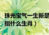 珠光宝气一生新是什么生肖（珠光宝气一身新指什么生肖）